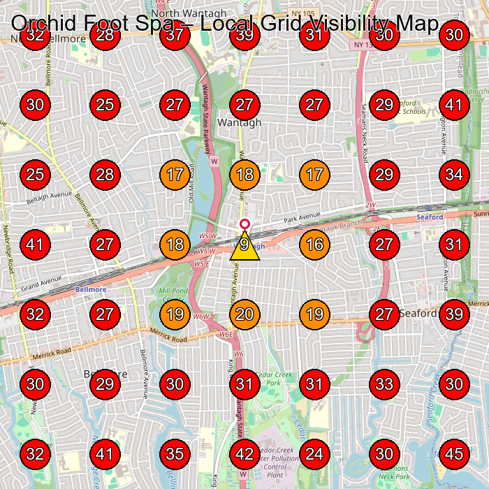 Orchid Foot Spa GeoGrid visibility map for Massage Therapist in Amityville